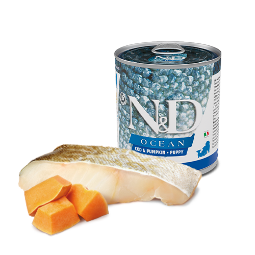 N&D Ocean Canine Puppy con Merluzzo e Zucca