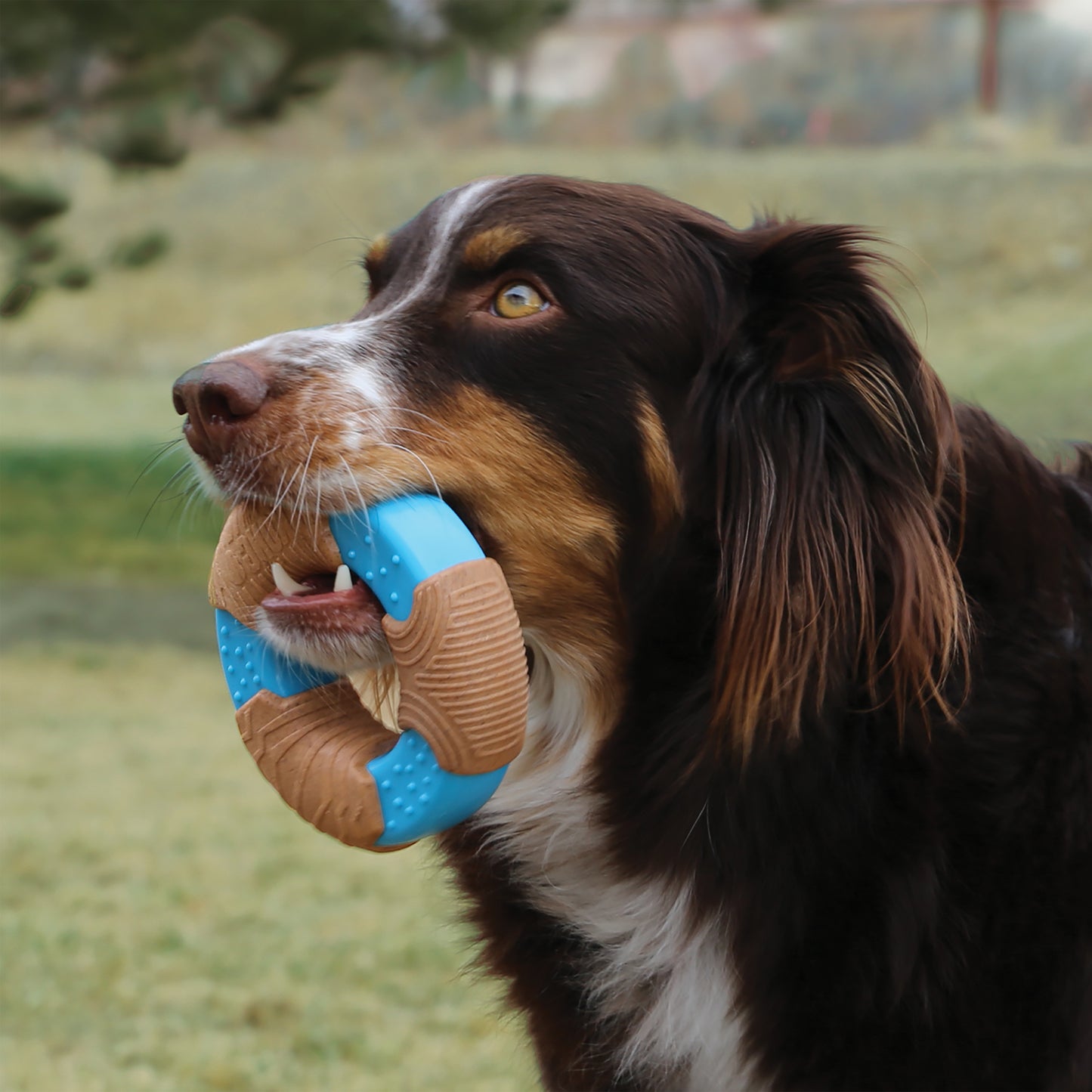 KONG CoreStrenght Bamboo Bone