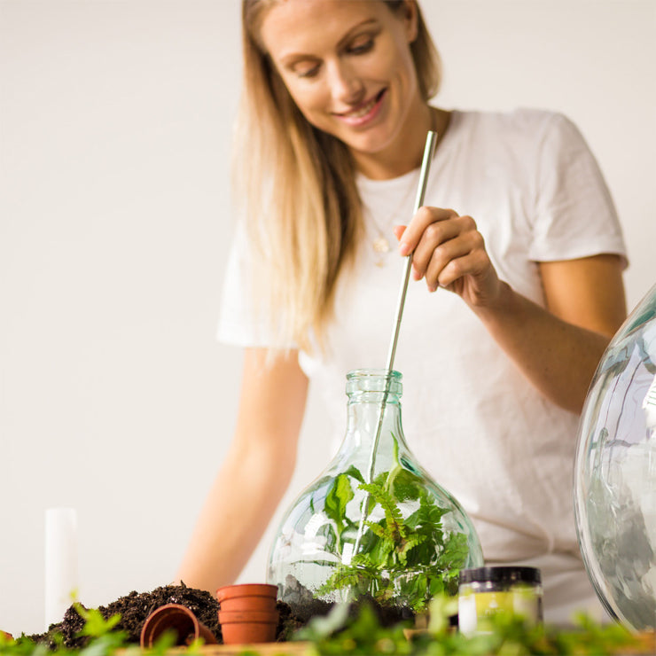 Carbone attivo per Terrarium - Giardango
