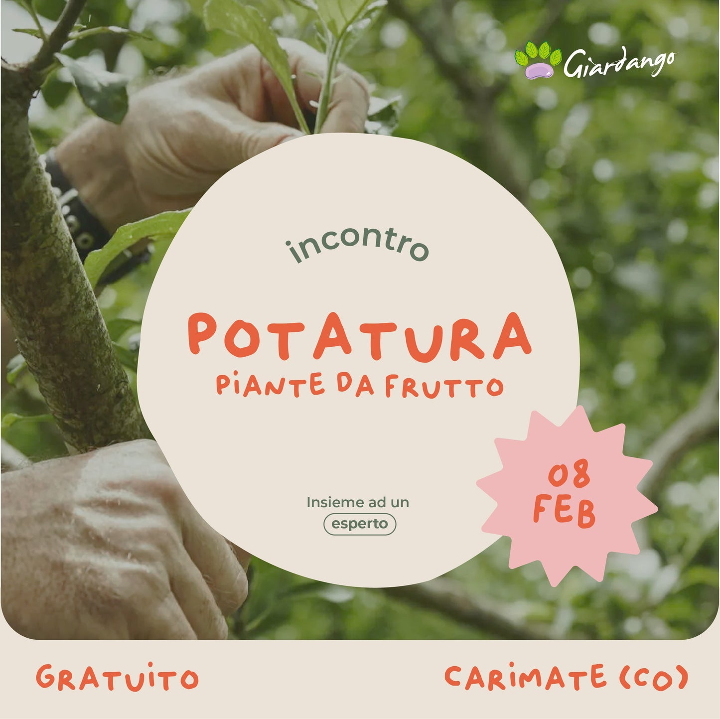 Incontro Potatura piante da frutto