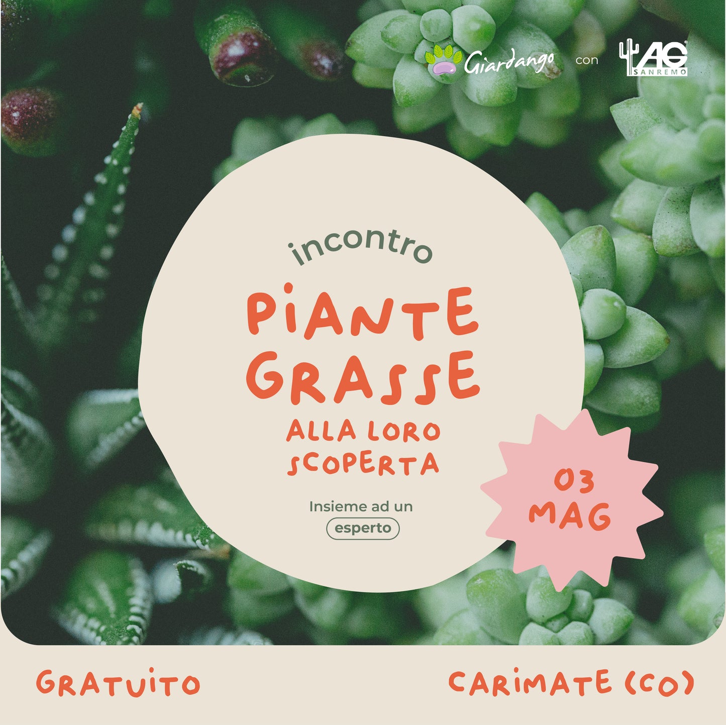 Incontro Piante grasse - Alla loro scoperta