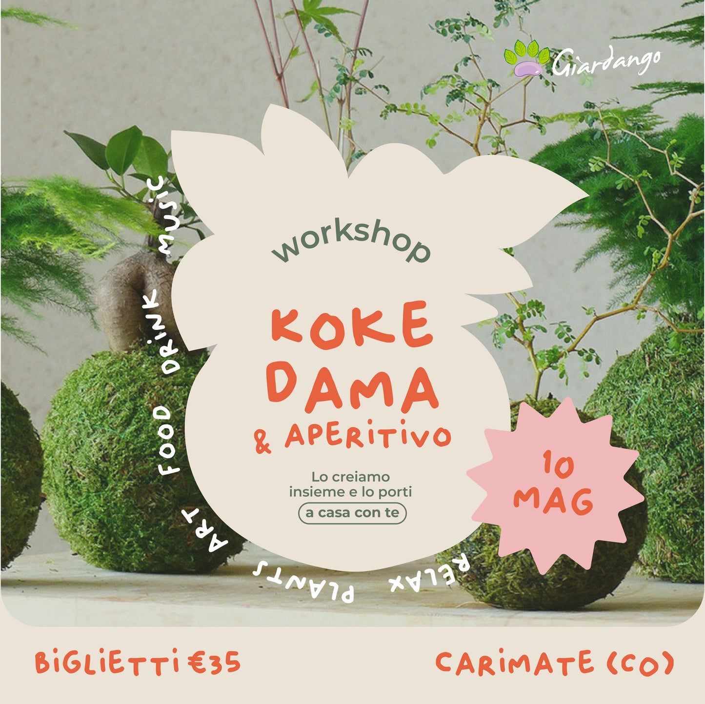 Workshop Kokedama