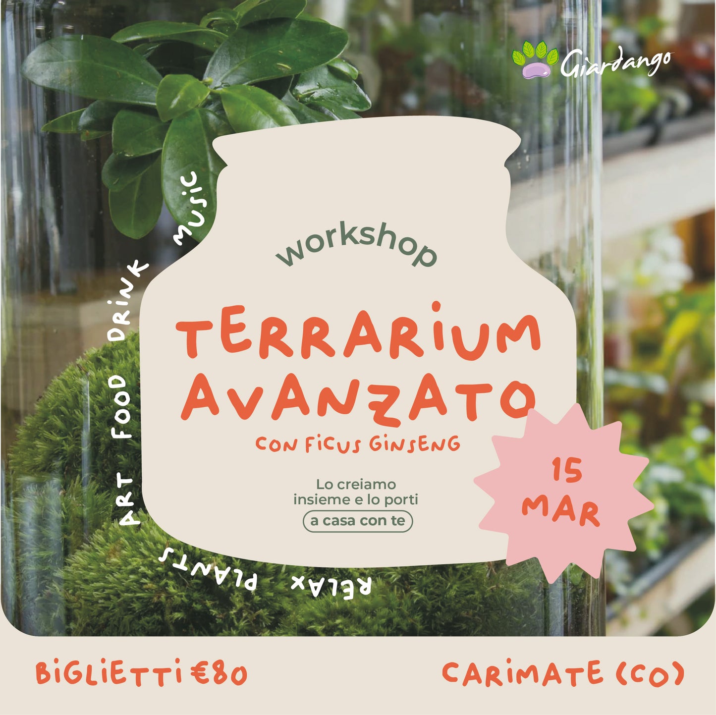 Workshop Terrarium Avanzato con ficus ginseng