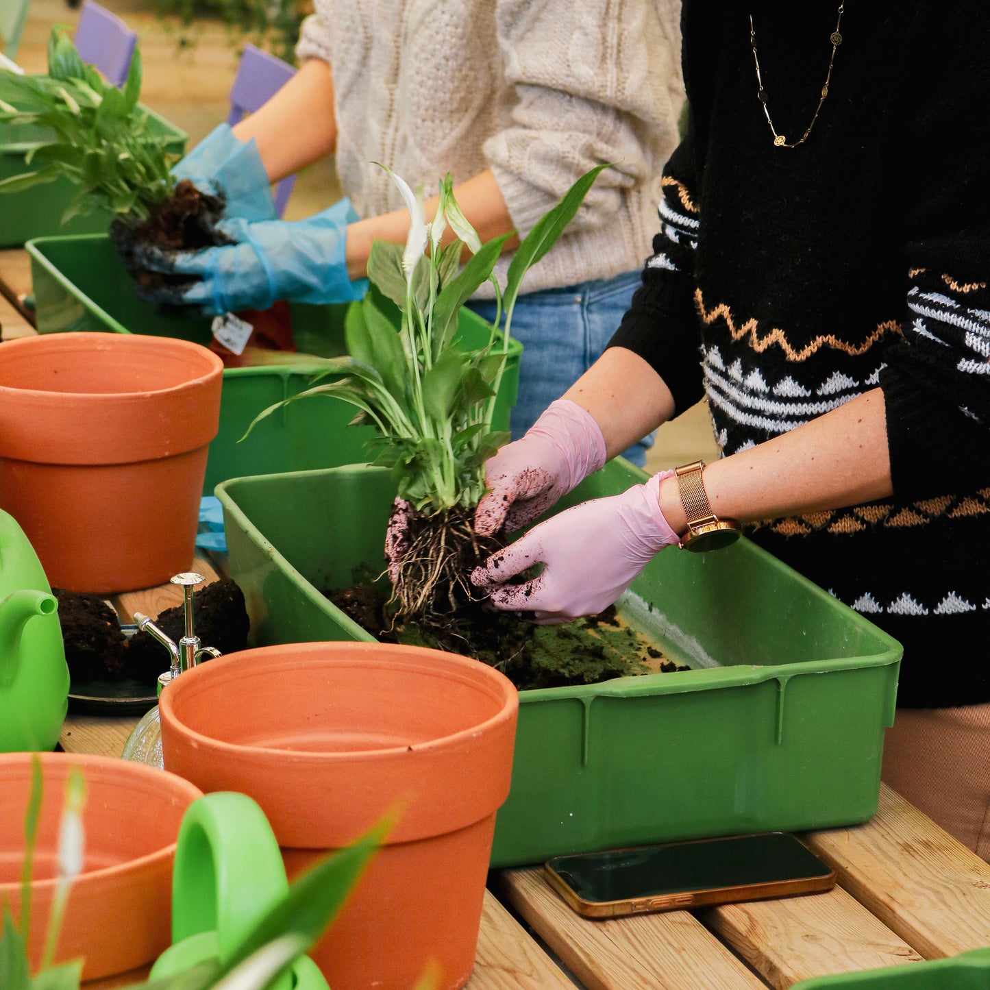 Workshop Kokedama