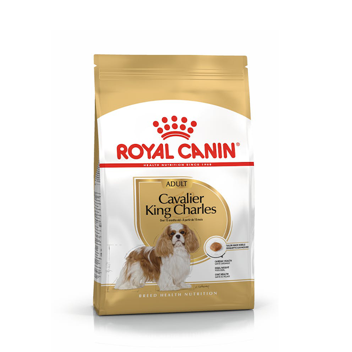 Royal Canin Cavalier King Adult - Giardango