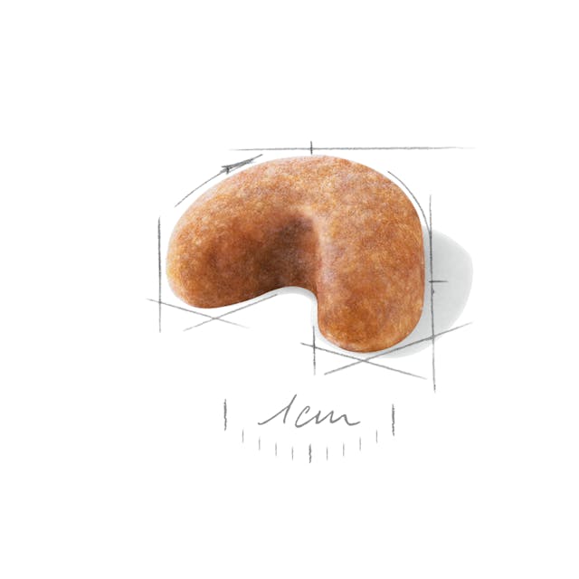 Royal Canin French Bulldog Puppy & Junior