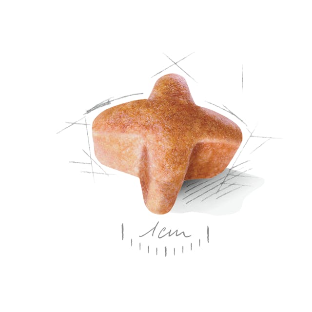 Royal Canin Pastore Tedesco Adult - Giardango