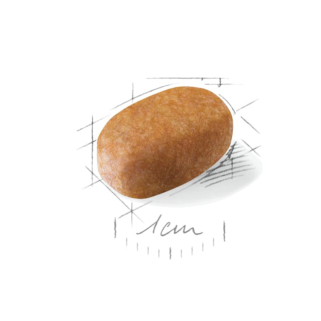 Royal Canin Maltese Adult - Giardango