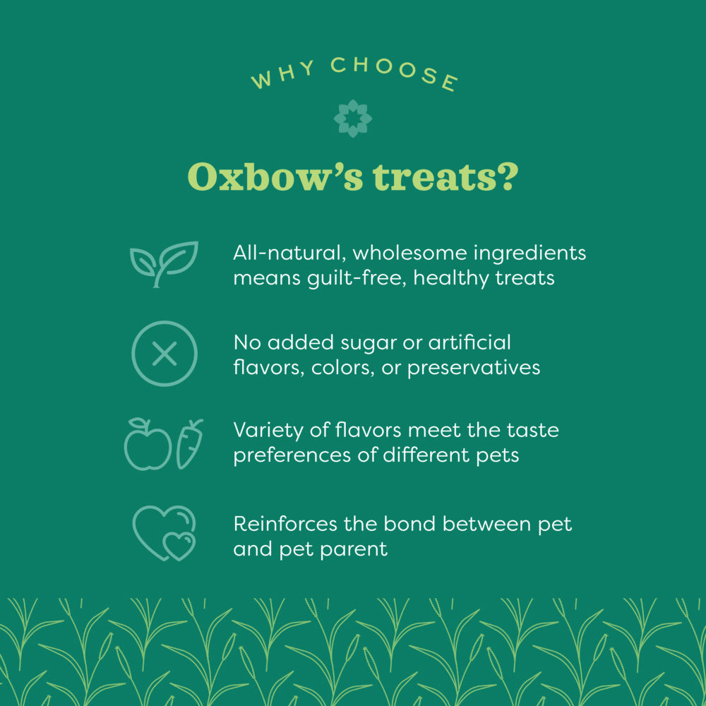 Oxbow Simple Rewards Baked Treats con mirtilli rossi