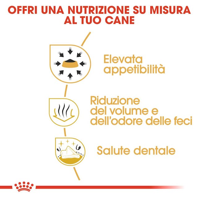 Royal Canin Chihuahua Adult - Giardango