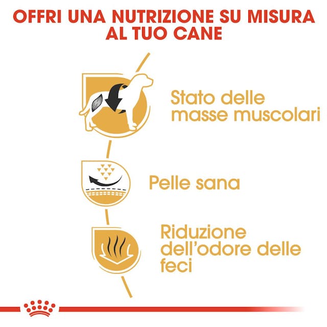 Royal Canin French Bulldog Adult - Giardango