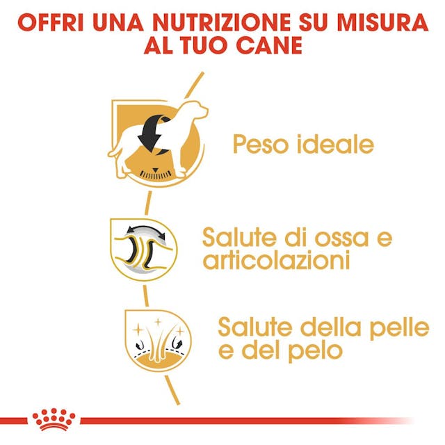 Royal Canin Labrador Retriever Adult - Giardango