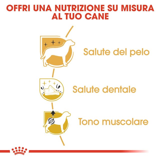 Royal Canin Barboncino Poodle Adult - Giardango