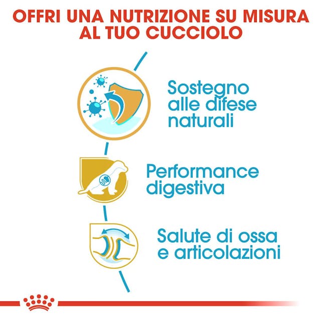 Royal Canin Pastore Tedesco Puppy - Giardango