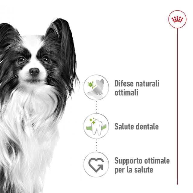 Royal Canin X-Small Adult - Giardango
