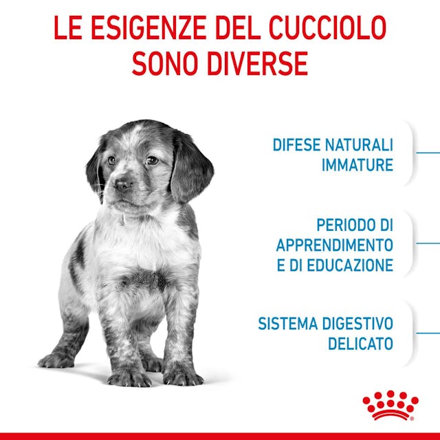 Royal Canin Medium Puppy - Giardango