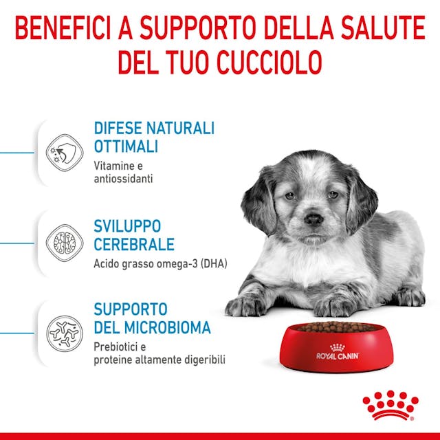Royal Canin Medium Puppy - Giardango