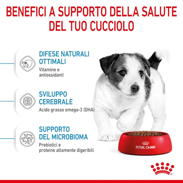 Royal Canin Mini Puppy - Giardango