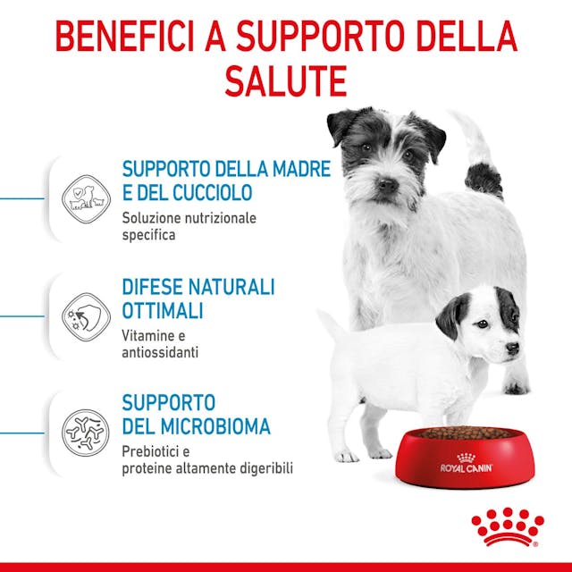 Royal Canin Starter Mini Mother & Babydog - Giardango