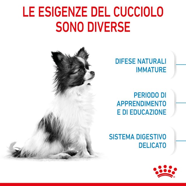 Royal Canin X-Small Puppy - Giardango