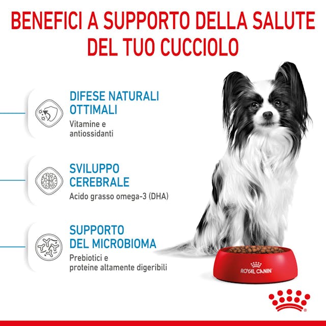 Royal Canin X-Small Puppy - Giardango