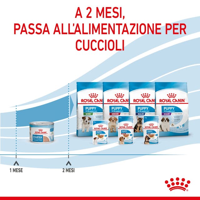 Royal Canin Starter Mother & Babydog Wet - Giardango