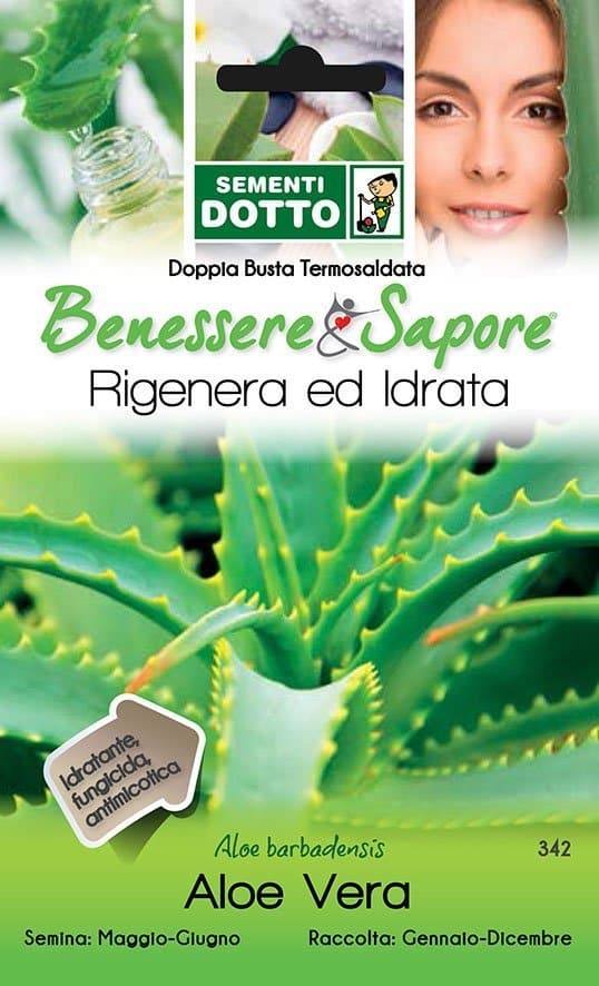Aloe vera - Giardango
