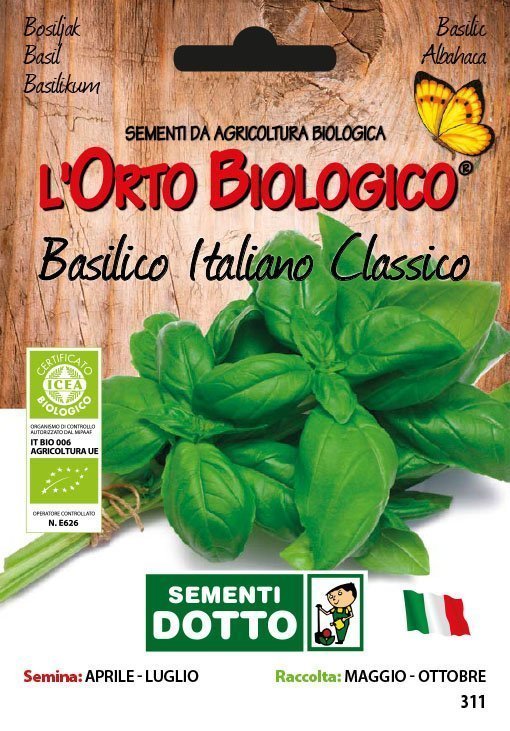Basilico Italiano Classico - Giardango