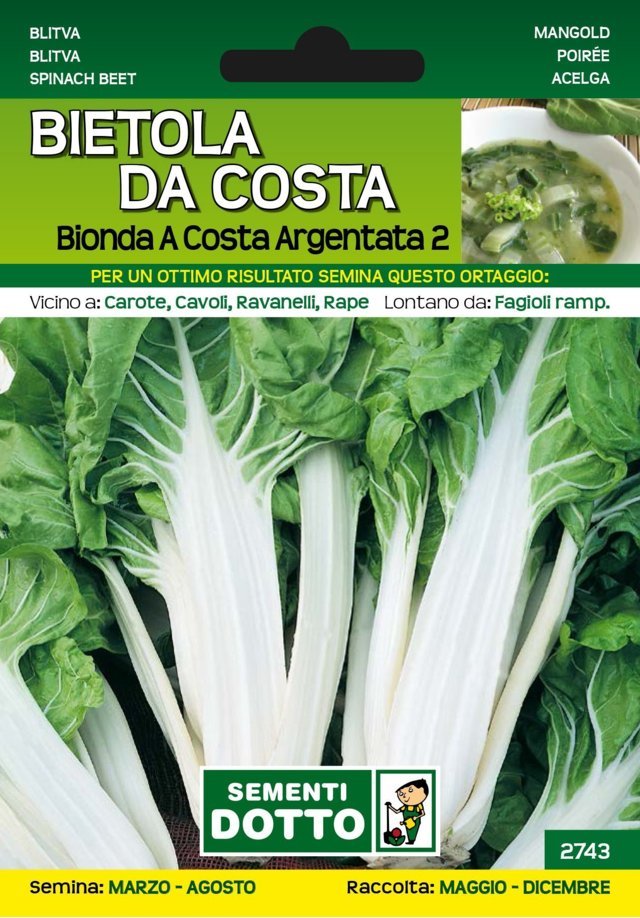 Bietola da Costa Bionda a Costa Argentata 2