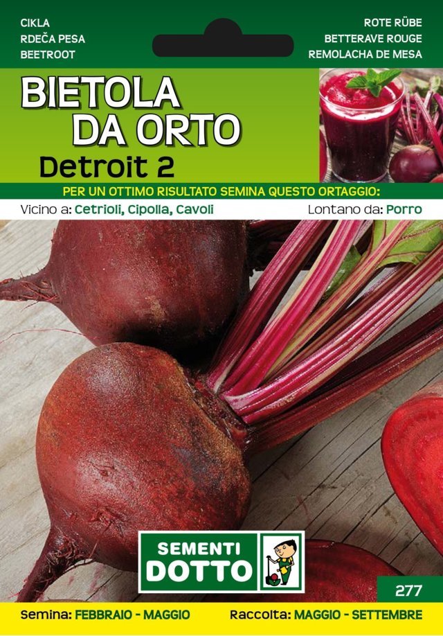 Bietola da Orto Detroit 2