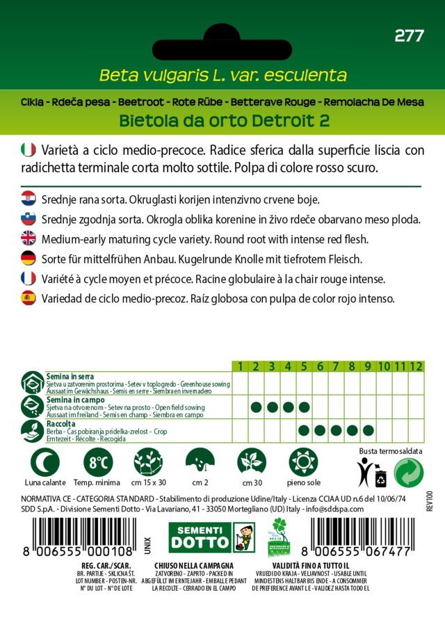 Bietola da Orto Detroit 2