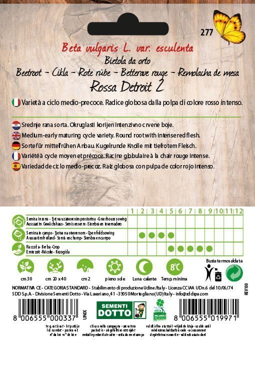 Bietola da Orto Detroit 2 - Giardango