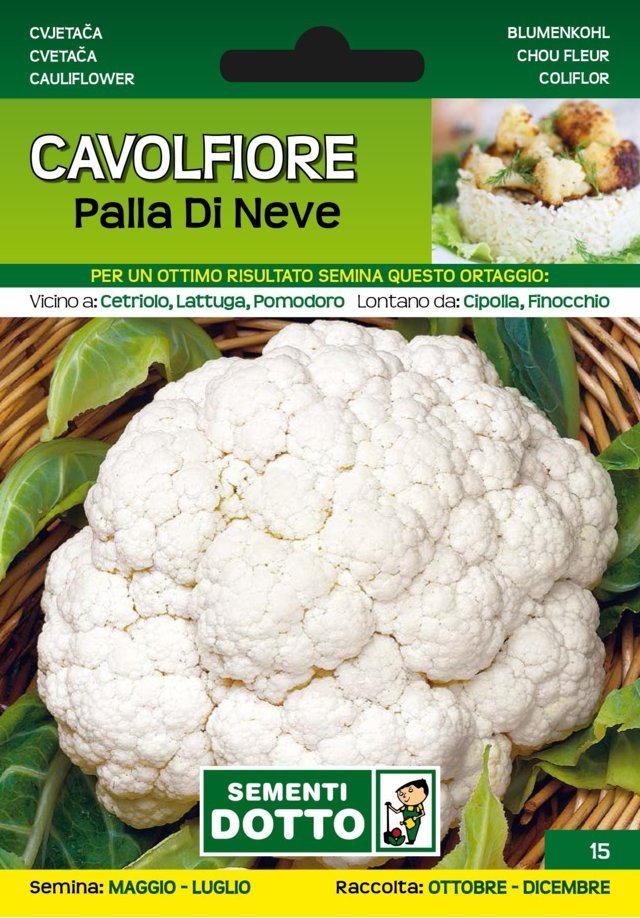 Cavolfiore Palla di Neve