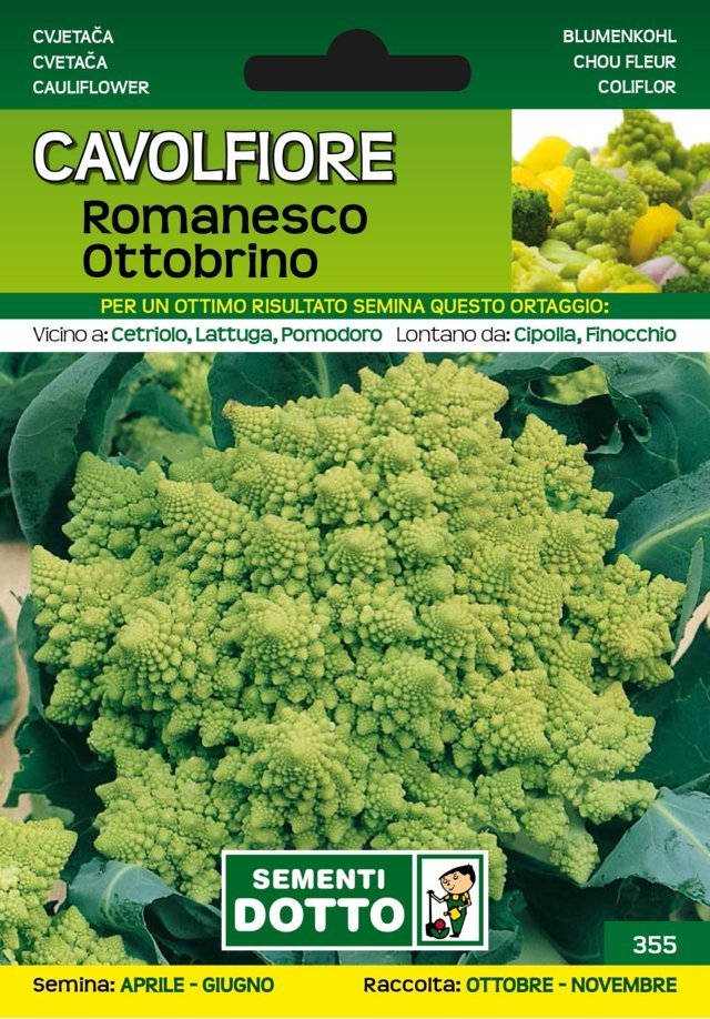 Cavolfiore Romanesco Ottobrino