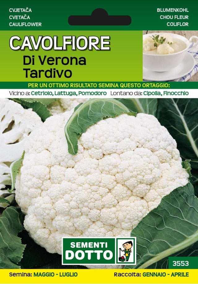 Cavolfiore di Verona Tardivo