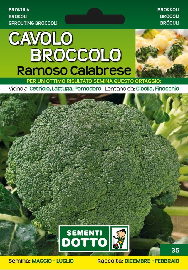 Cavolo Broccolo Ramoso Calabrese