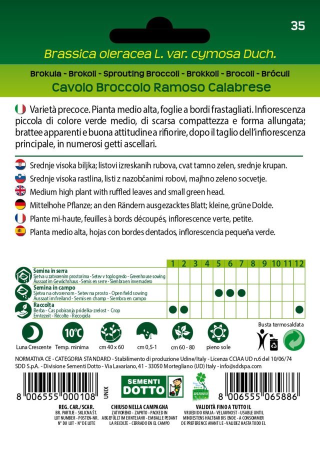 Cavolo Broccolo Ramoso Calabrese