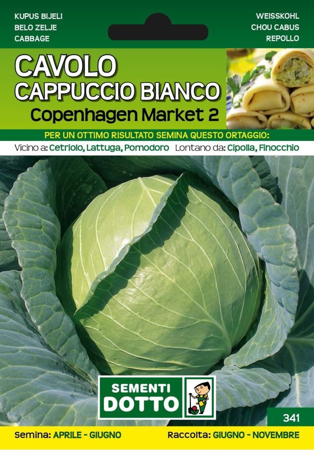 Cavolo Cappuccio Bianco Copenhagen Market 2