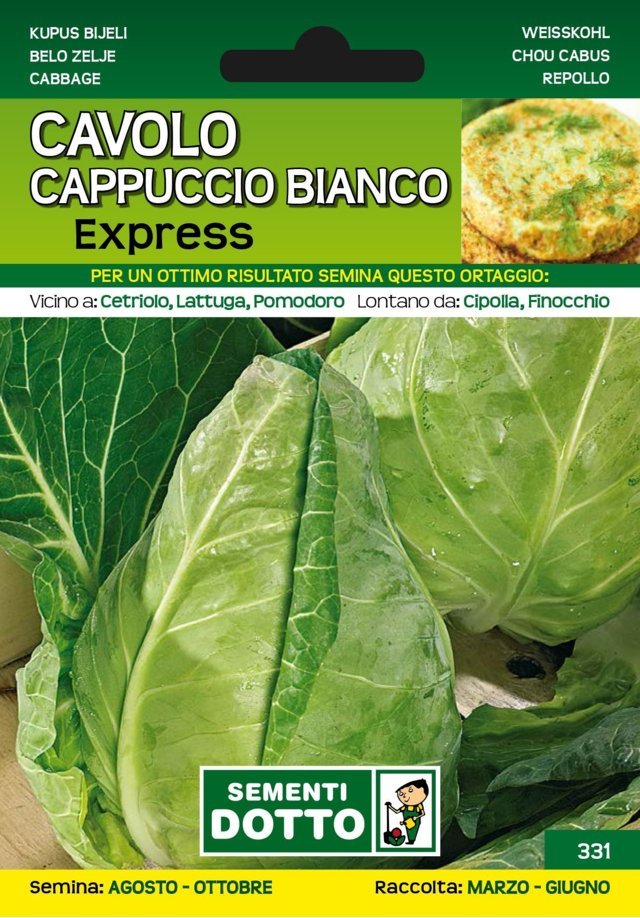Cavolo Cappuccio Bianco Express