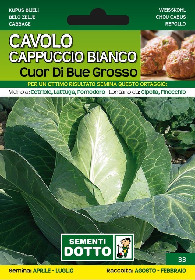 Cavolo Cappuccio Bianco Cuor di Bue Grosso