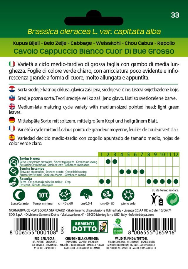 Cavolo Cappuccio Bianco Cuor di Bue Grosso