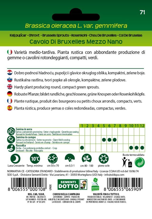 Cavolo di Bruxelles Mezzo Nano