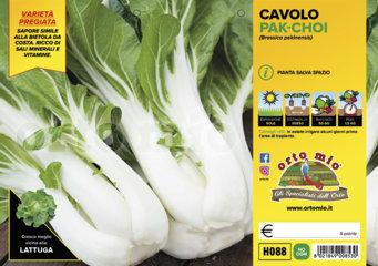 Cavolo Asiatico Pak Choi