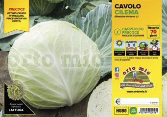 Cavolo Cappuccio Tondo Precoce Cilema - Giardango