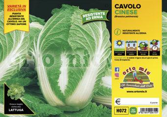 Cavolo Cinese Enduro
