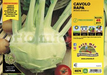 Cavolo Rapa Bianco Quickstar