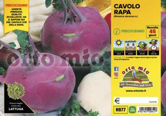 Cavolo Rapa Violetto Ukza