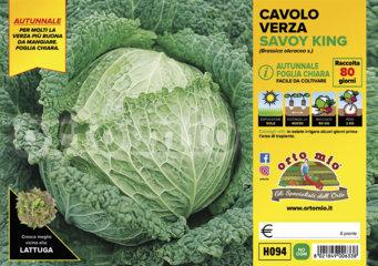 Cavolo Verza Autunnale Chiara Savoy King - Giardango