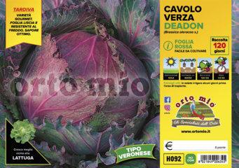 Cavolo Verza Rossa di Verona Robin - Giardango