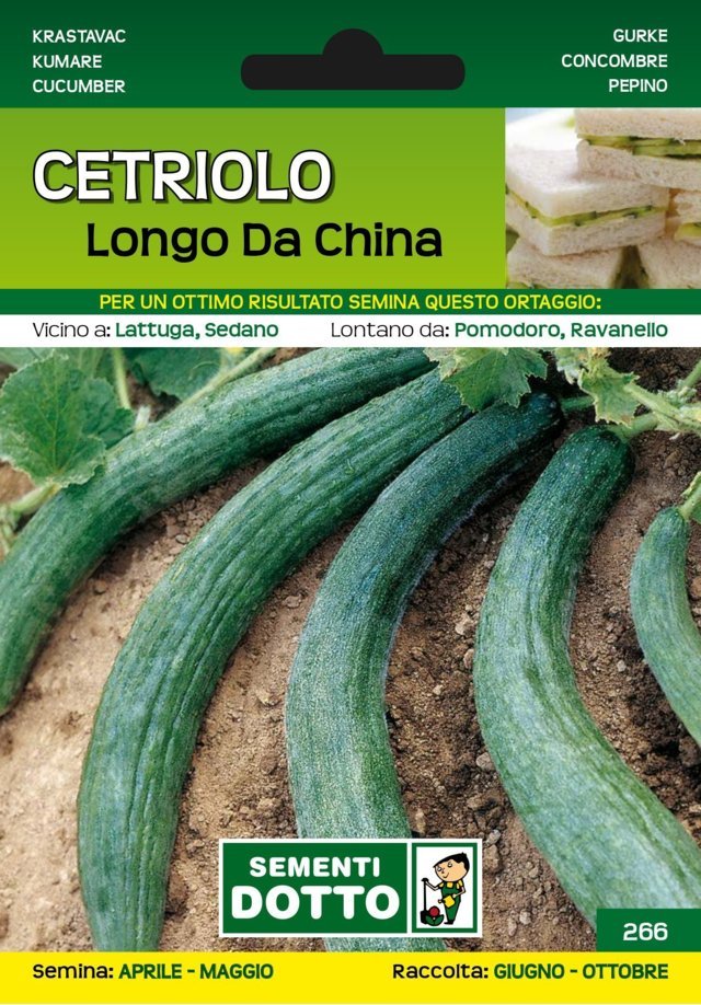Cetriolo Longo da China